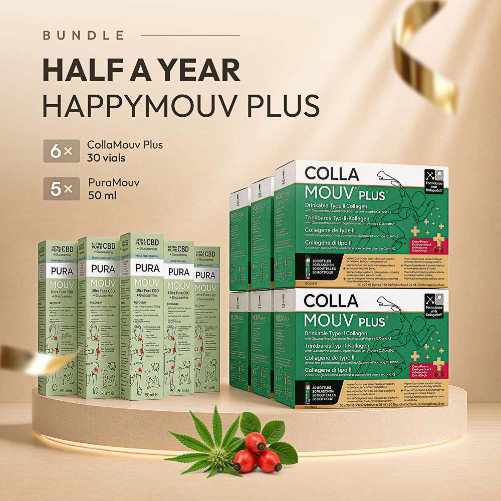 Half-Year HappyMouv Plus – offizielles Bundle-Bild
